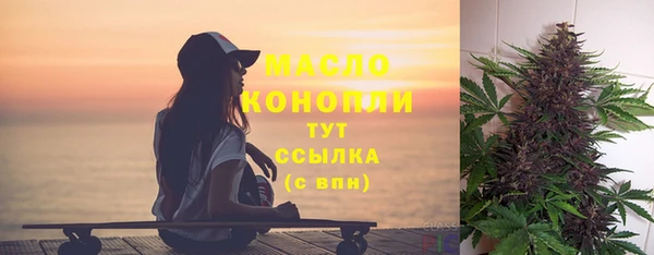 дмт Алексин