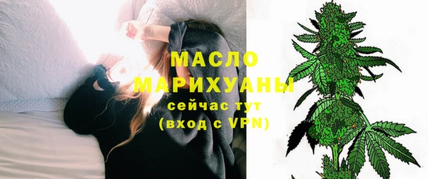 индика Медногорск