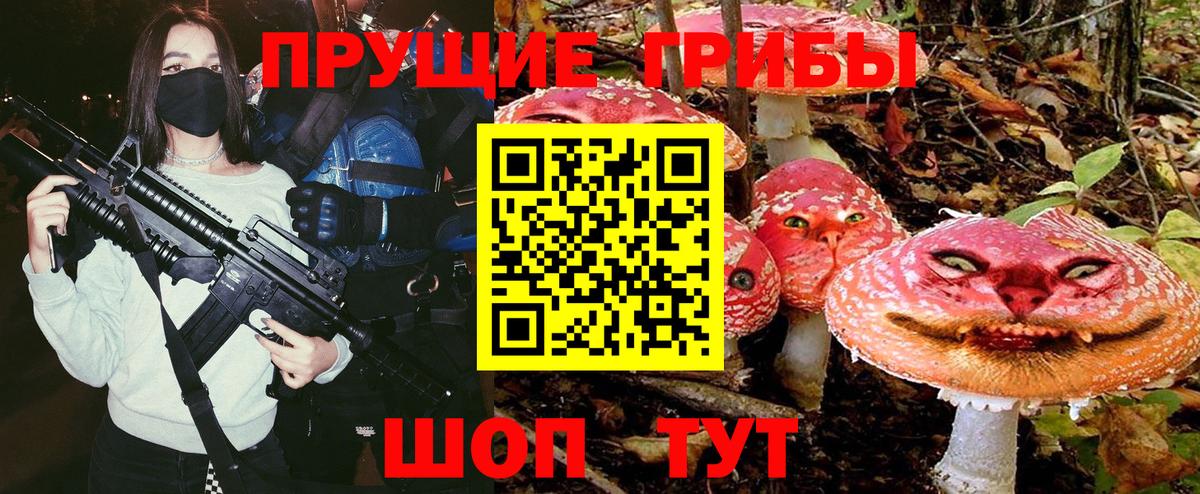 что такое наркотик  Вход с VPN  Димитровград  Галлюциногенные грибы Psilocybine cubensis 